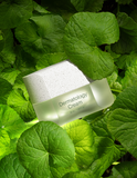 Dermatology Cream（活妍奇肌霜）RM290 Only