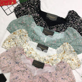 ‼️‼️独家爆款 💥 高品质时装上衣 RM55 ONLY 🌸(2-O4)